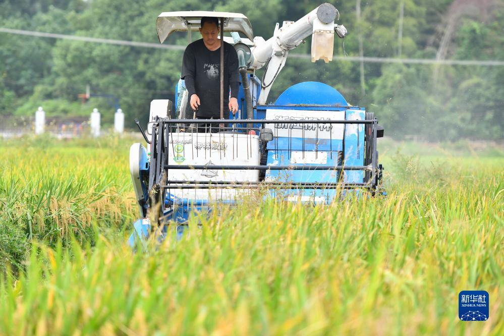 澳门游戏网址